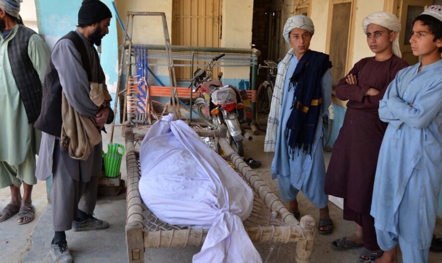 Suicide Bombing Outside Afghan Bank Kills at Least 20