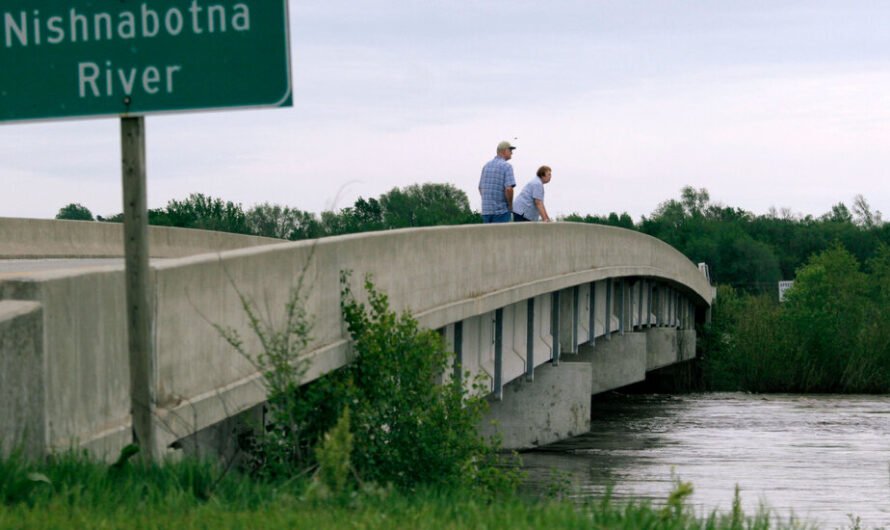 Iowa Fertilizer Spill Kills Nearly All Fish Across 60-Mile Stretch of Rivers