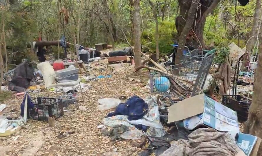 Debris from Austin homeless encampment falling into creek