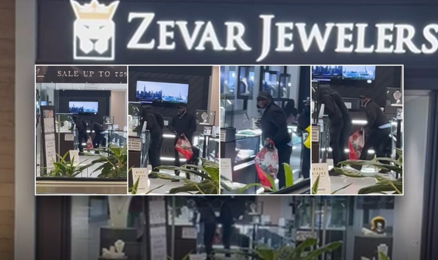 Video shows Illinois thieves smashing glass display cases and snatching watches, jewelry