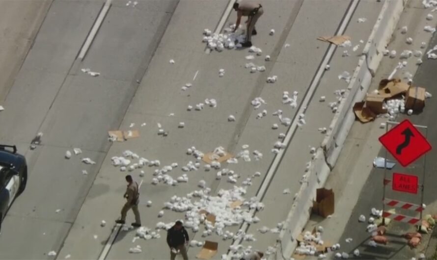 California highway clogged with toilet paper rolls that blocked traffic