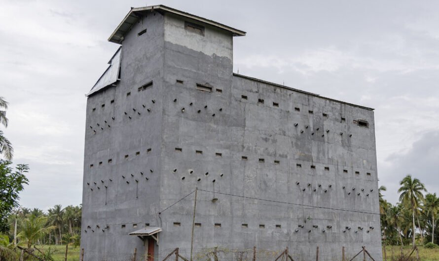 5-Star Bird Houses for Picky but Precious Guests: Nesting Swiftlets