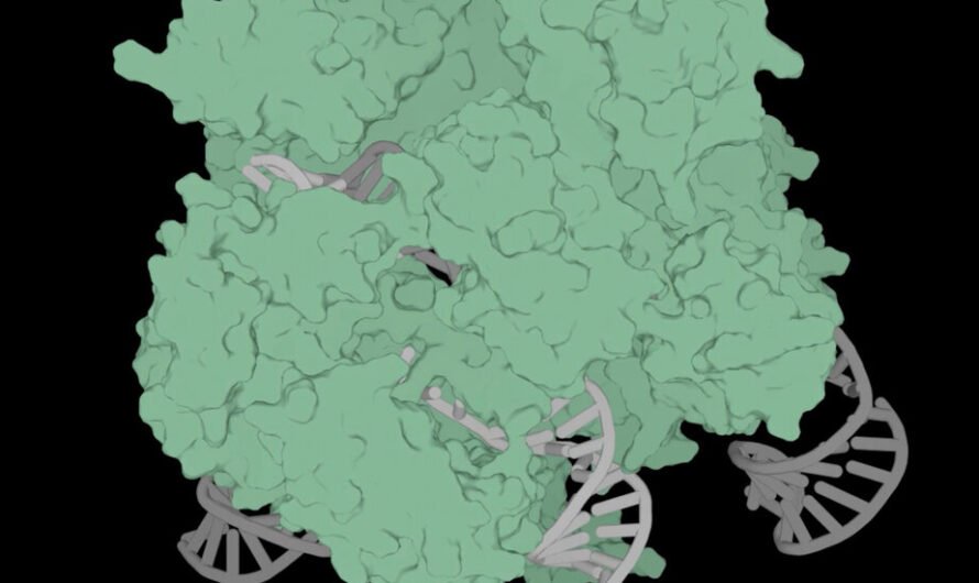 Generative A.I. Arrives in the Gene Editing World of CRISPR