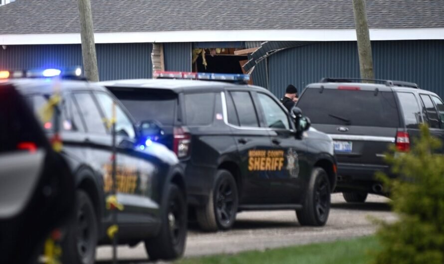 Driver Kills 2 Children at Birthday Party at Swan Boat Club, Michigan