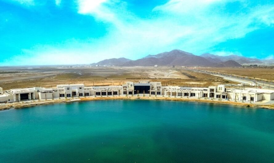 Sharqi Gem Unveiled: Al Hefaiyah Lake Opens to Public in Kalba