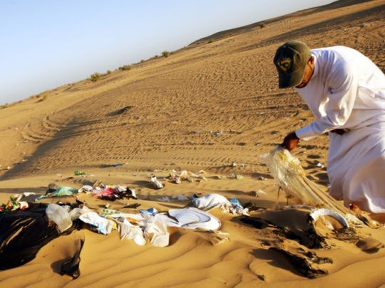 Taming the Sands: UAE’s Multifaceted Approach Combats Desertification