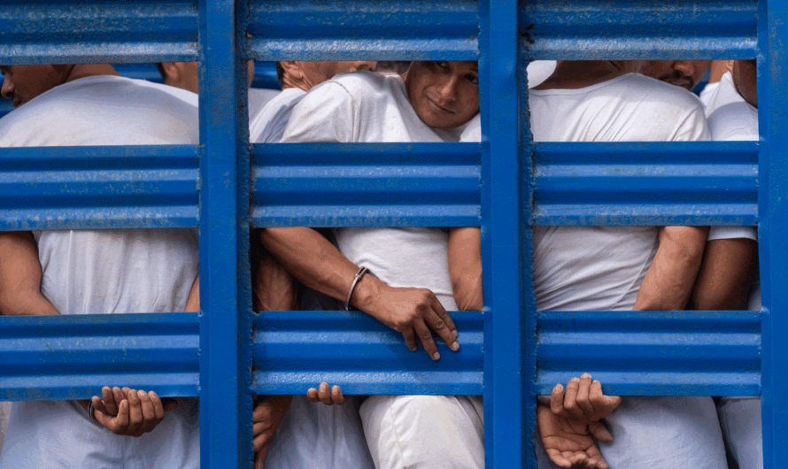 At least 241 people have died in El Salvador’s prisons during the ‘war on gangs,’ rights group says