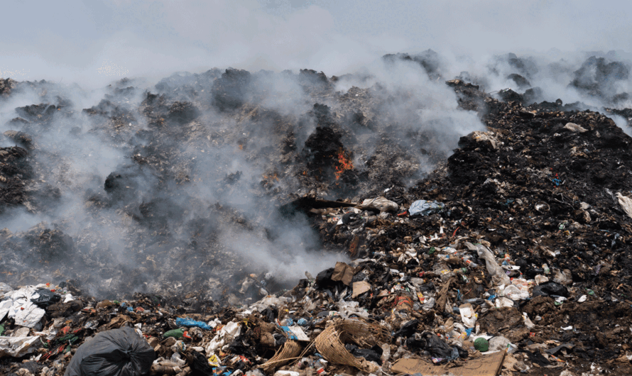 Guatemala’s president issues natural disaster declaration as 44 forest fires rage on