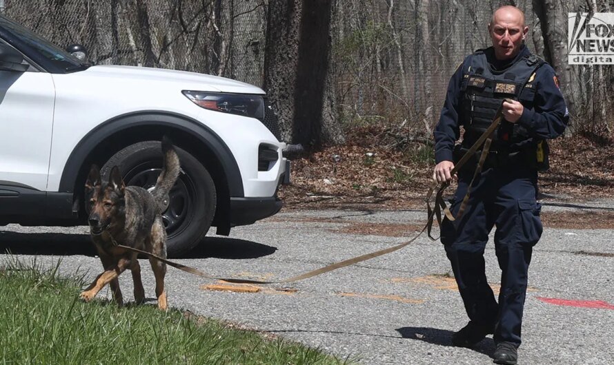 New York police search of Long Island forest could be linked to Gilgo Beach murders