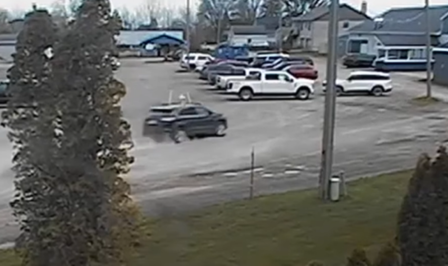 Chilling surveillance video shows moment Michigan driver plows into birthday party, killing two kids