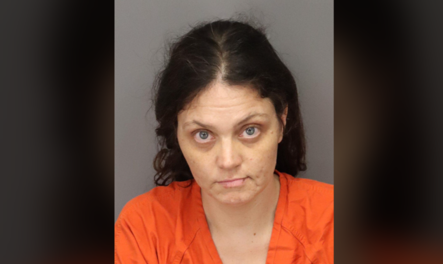 Florida woman stabs man in wild Wawa rampage, before threatening employees and smashing computers: police