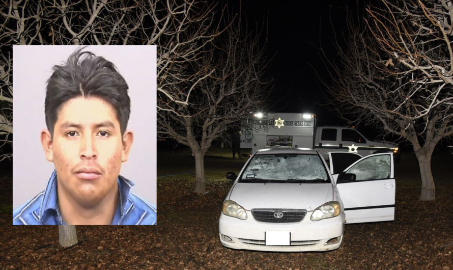 Teen illegal immigrant arrested in connection to murder, mutilation of California man found in car