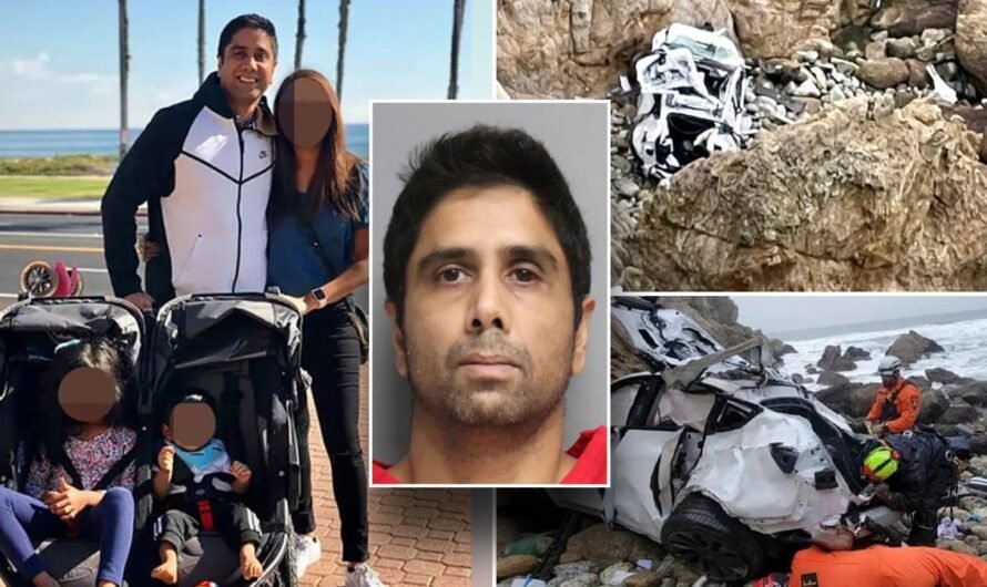 California doctor was suffering delusions when he drove Tesla off cliff with family inside: psychologist