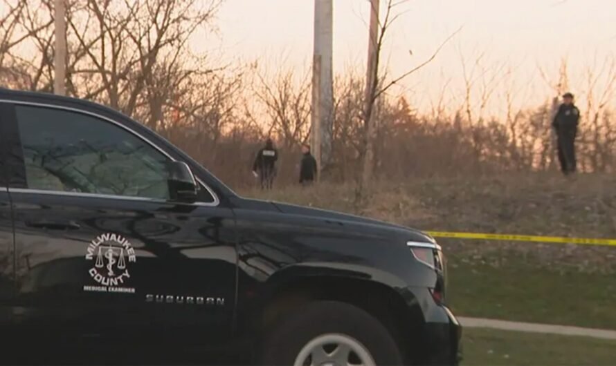 Body parts found scattered across Milwaukee in 3 separate instances within a week: report