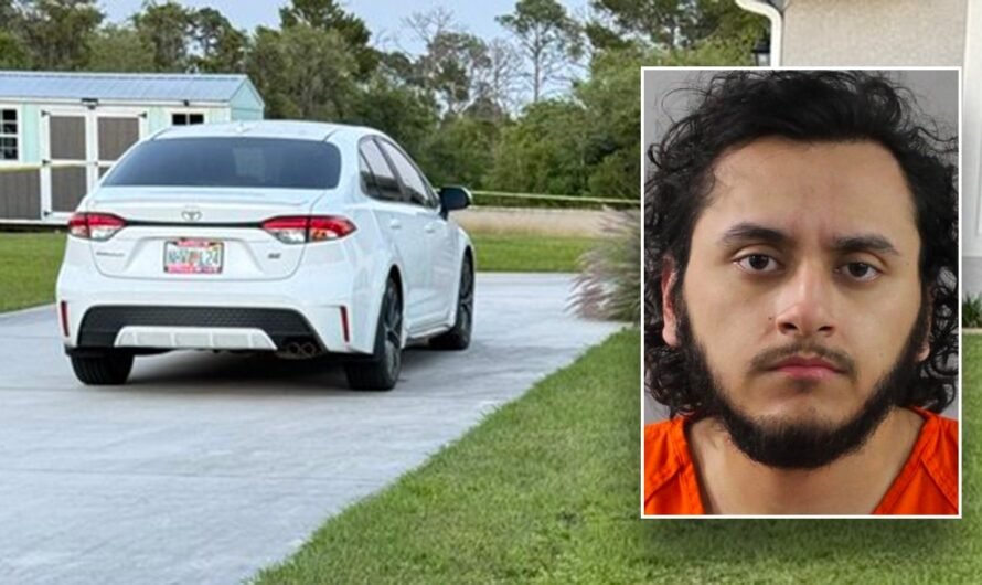 Florida pre-med student admits to stabbing his mother to death: ‘Inexplicable, vicious’