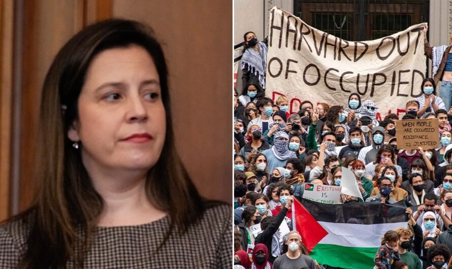 Fox News ‘Antisemitism Exposed’ Newsletter: Stefanik slams Harvard’s ‘cultural rot’