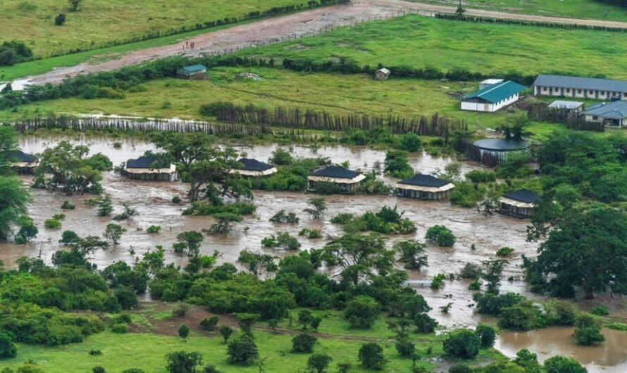 Flooding in a Kenyan Natural Reserve Forces Tourist Evacuation