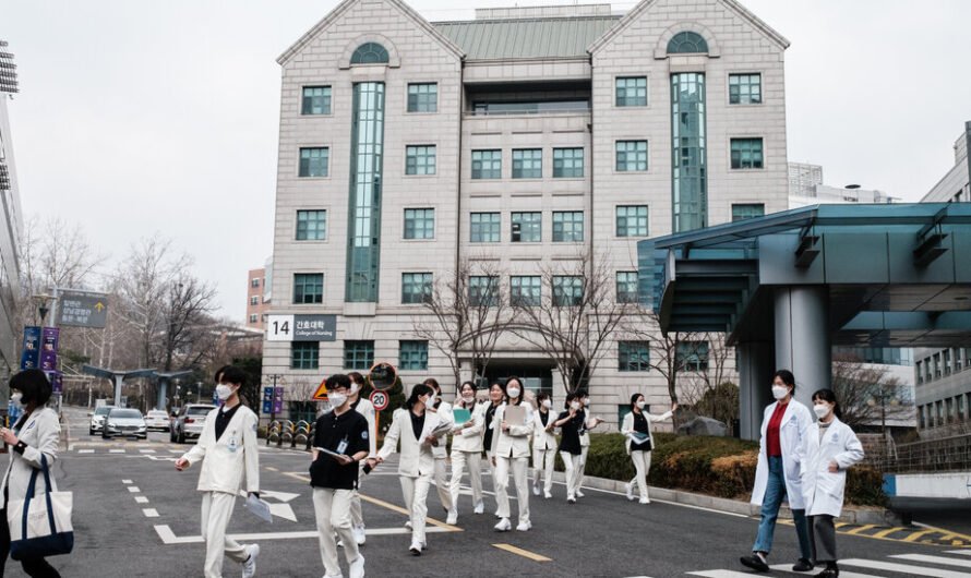 As South Korea Doctors’ Walkout Drags on, Many Blame President