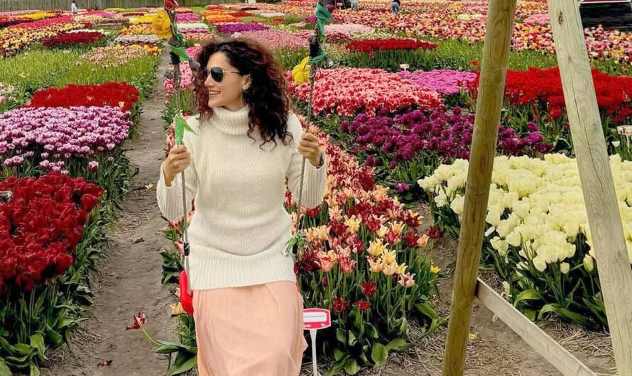 See Amsterdam Through Taapsee’s Eyes