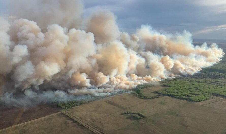 Minnesota and Wisconsin See Air Quality Warnings as Canadian Wildfire Smoke Drifts South