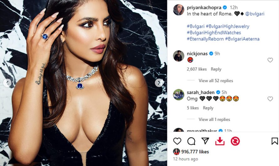 Priyanka Chopra Stuns In Plunging Neck Gown