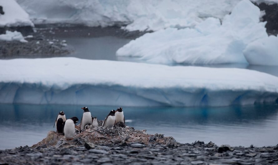 In message to Russia, Chilean lawmakers meet in Antarctica to underline territorial claims