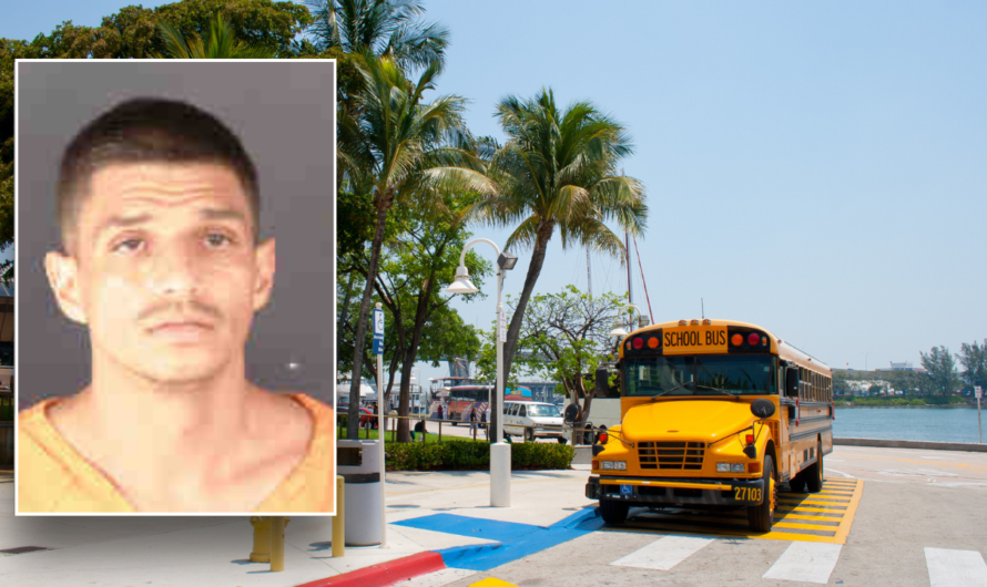 Florida man allegedly swipes school bus while drunk