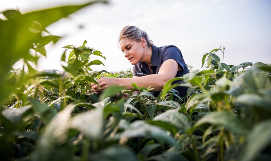 Syngenta extends leadership in fungicides with ADEPIDYN® technology