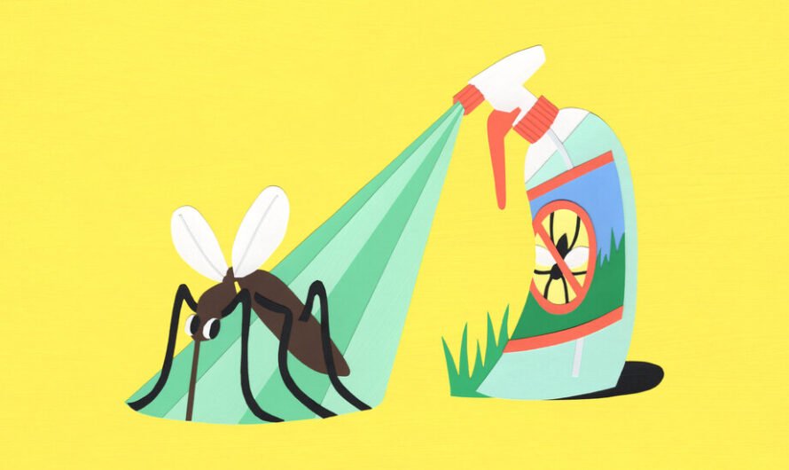 What Are Eco-Friendly Ways to Control Backyard Bugs?