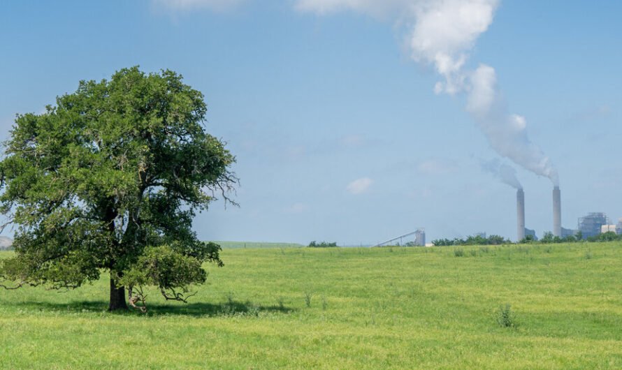 A String of Supreme Court Decisions Hits Hard at Environmental Rules