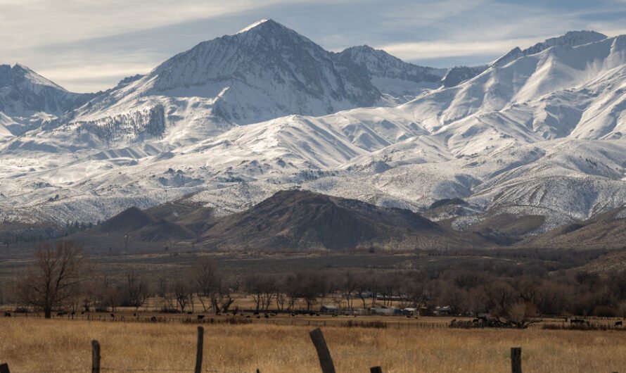 California Tribal Members Are Reclaiming the ‘Land of the Flowing Water’