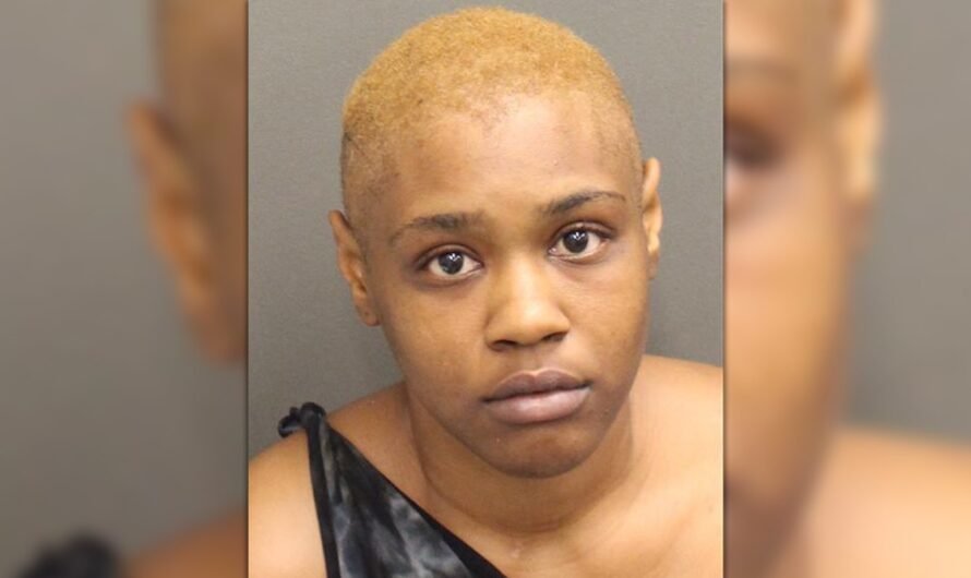 Florida woman ran over boyfriend with car while he was holding their toddler: sheriff