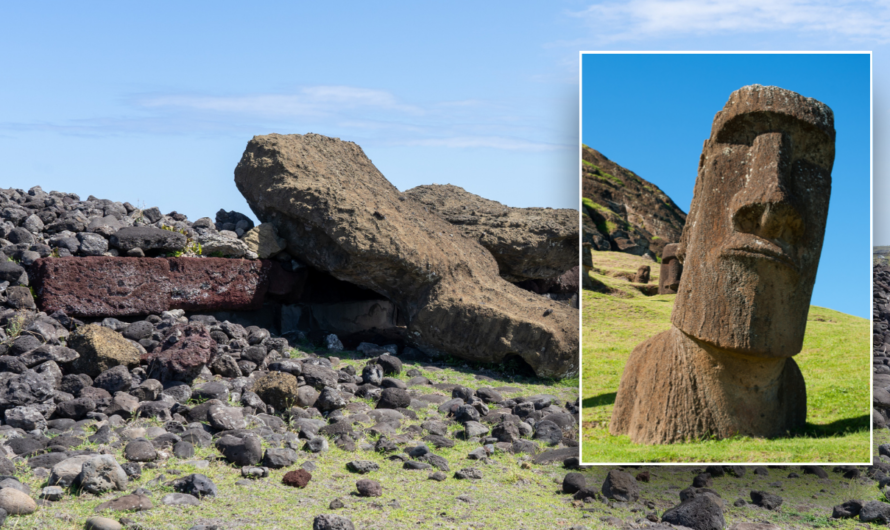 Easter Island ‘ecocide’ myth debunked in new scientific study