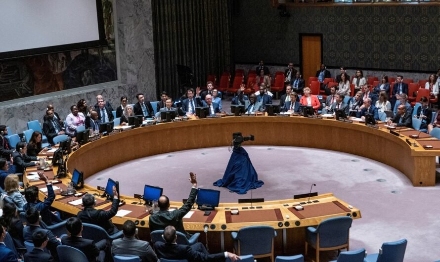 UN Security Council elects 5 new countries to serve a 2-year term