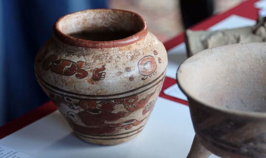 Washington, DC, woman learns her $4 thrift store vase is 2,000-year-old Mayan artifact