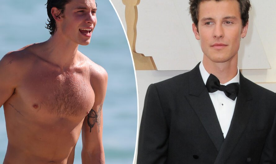 Whoa! Shawn Mendes Got An NSFW New Tattoo! Look!