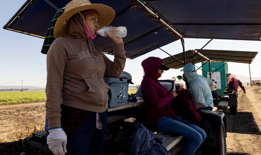 Record-Breaking Heat Broils Much of Western U.S.