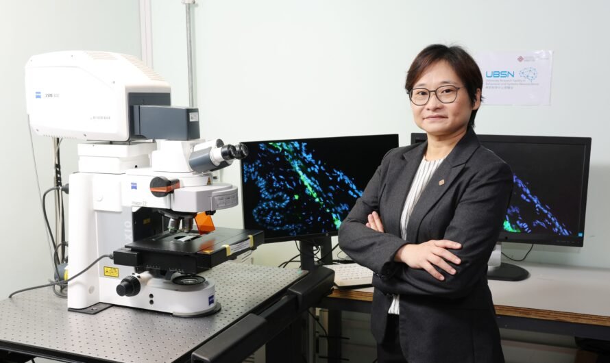 PolyU scholar discovers key mechanism of intraocular pressure regulation suggesting novel treatment approaches for glaucoma