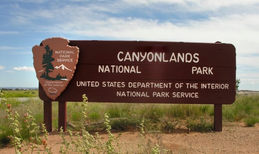 Father, daughter die at Utah’s Canyonlands National Park after running out of water on hike in 100-degree heat