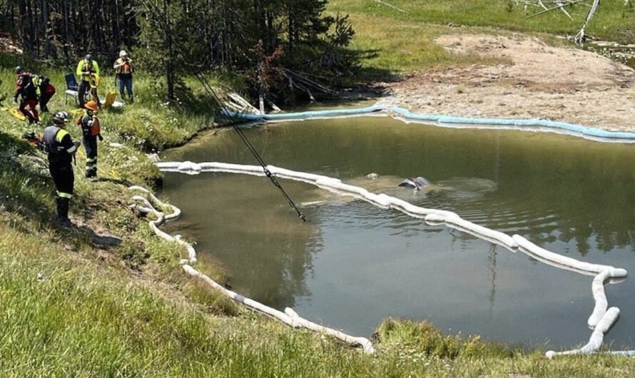 Five people escape SUV plunged into inactive Yellowstone geyser