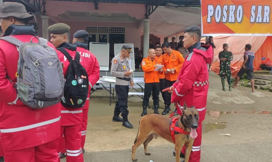 Landslide at illegal Indonesian gold mine leaves 11 dead, dozens missing