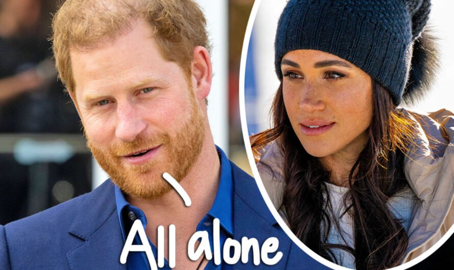 Prince Harry Is ‘Bored’ Because His Friends Find Meghan Markle Too ‘Difficult’ & Won’t Visit Him!