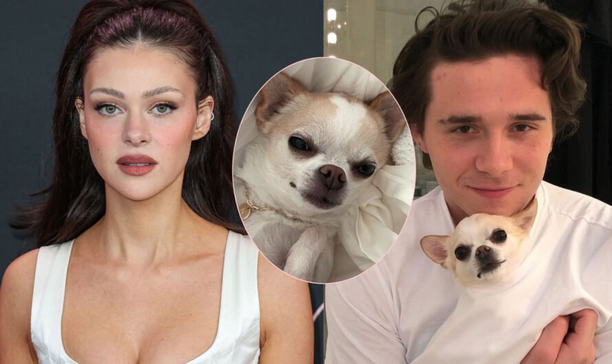 Brooklyn Beckham’s Wife Nicola Peltz Suing Groomer After Beloved Dog’s Sudden Death – Details!