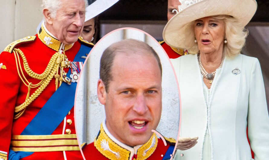 Risking Offending The King? Prince William Removes Queen Camilla’s Sister From Royal Payroll!