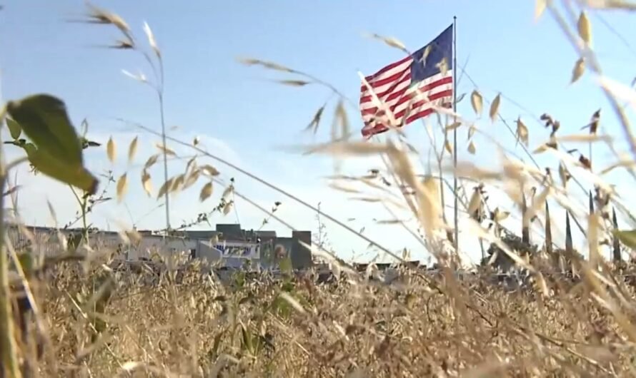 Camping World’s massive US flag praised by former boxer on California board that greenlit display