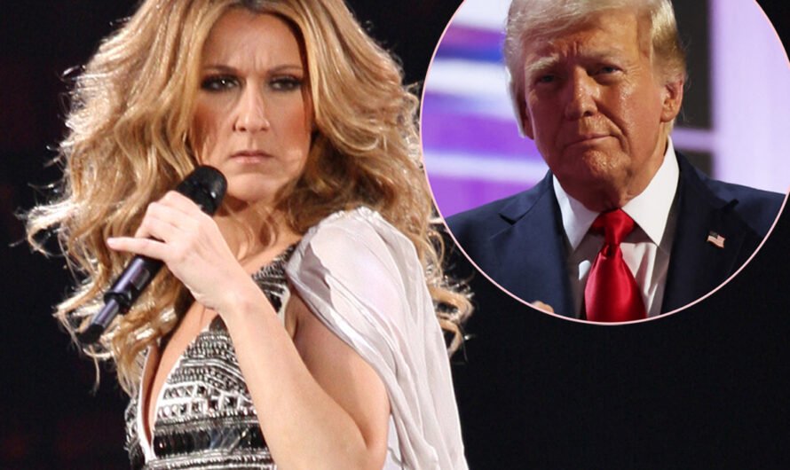 Céline Dion SLAMS Donald Trump For Using Her Iconic Track My Heart Will Go On At Rally: ‘Really, THAT Song?’