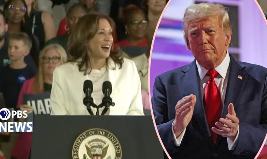 Donald Trump LOSING IT! Claims Kamala Harris Faked Crowd Size With AI – Leading Real People To Bring Receipts!