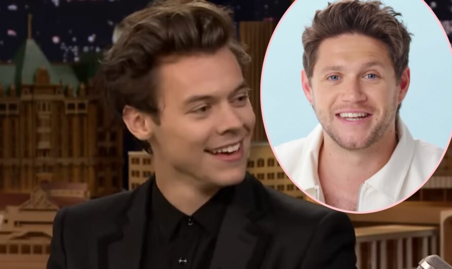 Harry Styles Supports Former One Direction Bandmate Niall Horan At Manchester Show!!! LOOK!