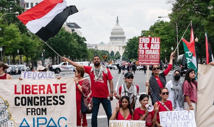 Law enforcement brace as anti-Israel groups vow to bring tens of thousands of protesters to DNC in Chicago