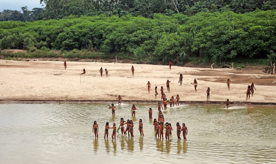 Reclusive tribe attacks loggers suspected of encroaching on their land in Peru’s Amazon